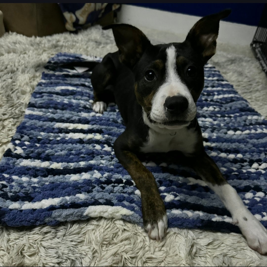Mixed Blues Pet Pads™ - size large