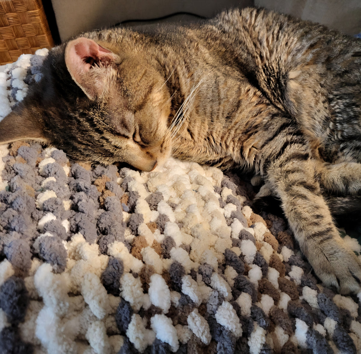 The "Opus" Pet Pad™ - Size Small