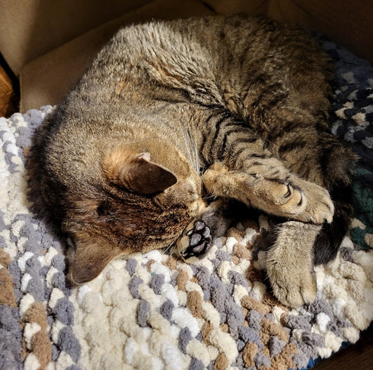 The "Opus" Pet Pad™ - Size Small