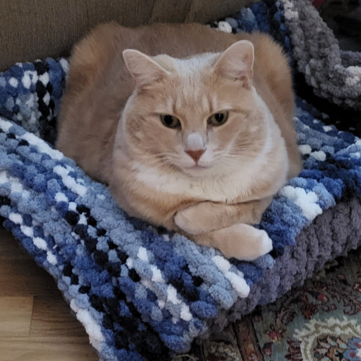 Mixed Blues Pet Pads™ - size medium