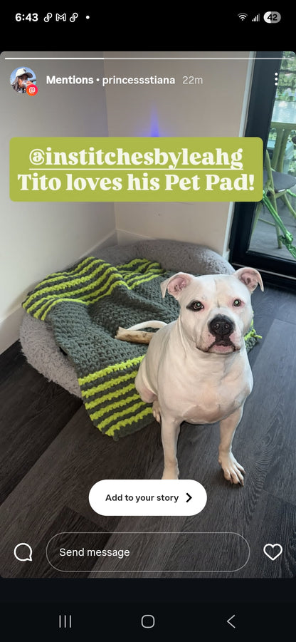 Olive & Lime Trim Pet Pads™ - size XL
